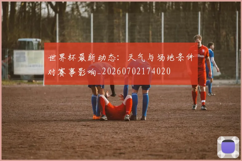世界杯最新动态：天气与场地条件对赛事影响_20260702174020