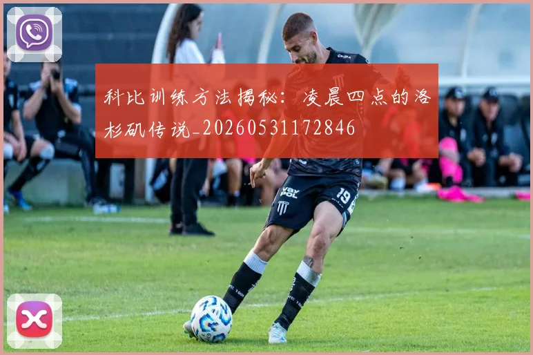 科比训练方法揭秘：凌晨四点的洛杉矶传说_20260531172846